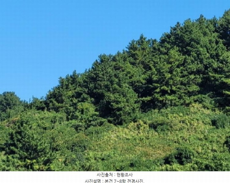 2025타경52165 전라남도 여수시 삼산면 동도리 산106 임야 경매 이미지