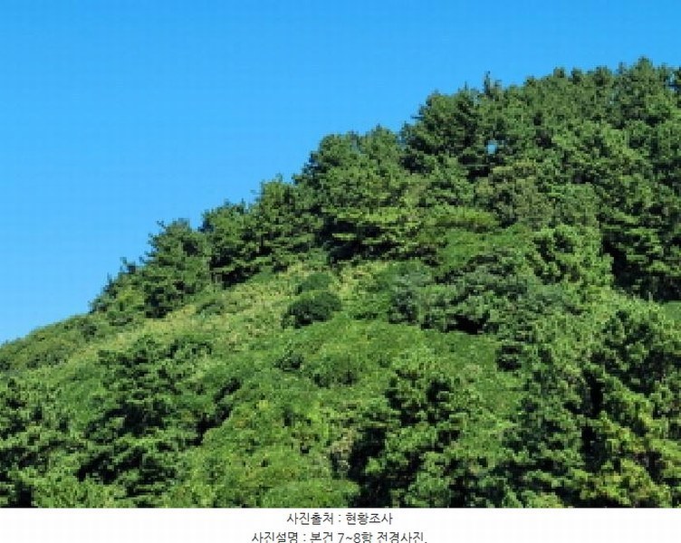 2025타경52165 전라남도 여수시 삼산면 동도리 산106 임야 경매 이미지