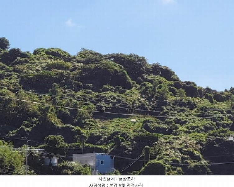 2025타경52165 전라남도 여수시 삼산면 동도리 1064 농지 경매 이미지