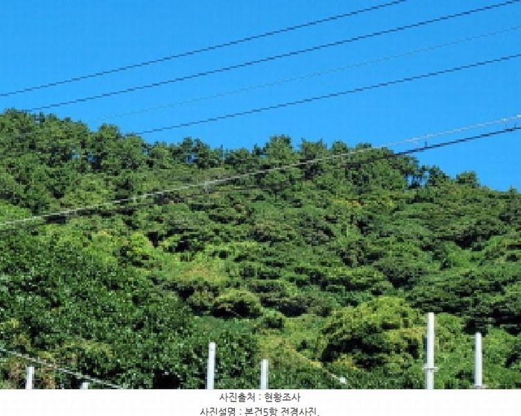 2025타경52165 전라남도 여수시 삼산면 동도리 793 농지 경매 이미지