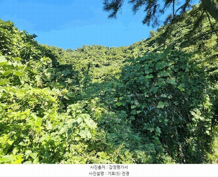 2025타경52165 전라남도 여수시 삼산면 동도리 793 농지 경매 이미지