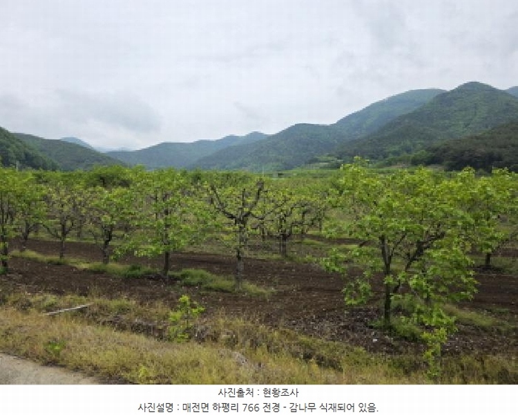 2025타경7493 경상북도 청도군 매전면 하평리 766 농지 경매 이미지