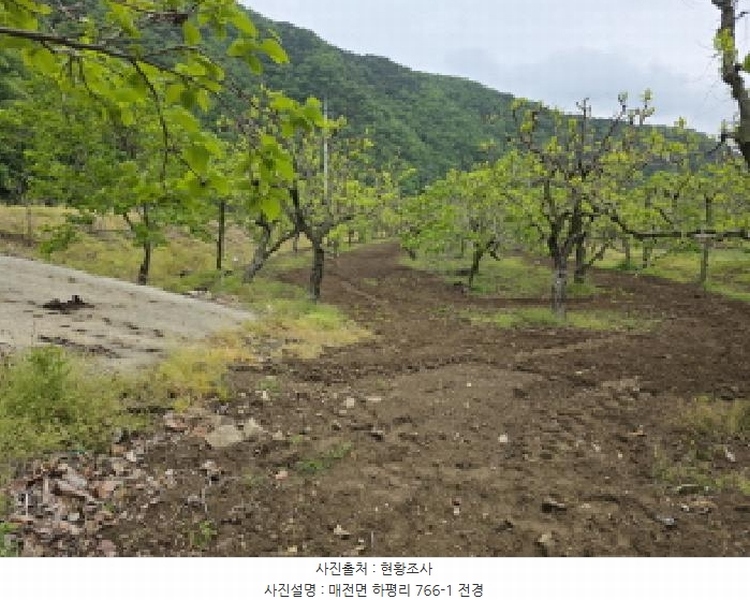 2025타경7493 경상북도 청도군 매전면 하평리 766 농지 경매 이미지