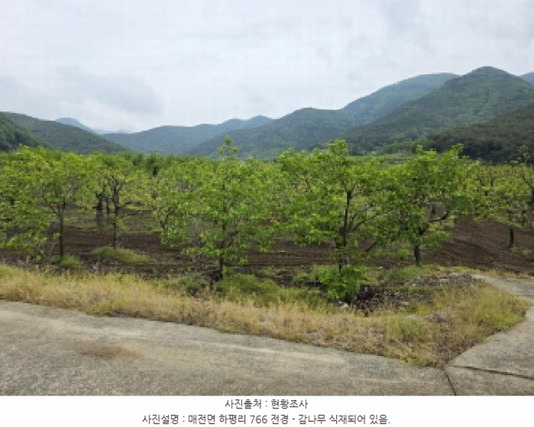 2025타경7493 경상북도 청도군 매전면 하평리 766 농지 경매 이미지