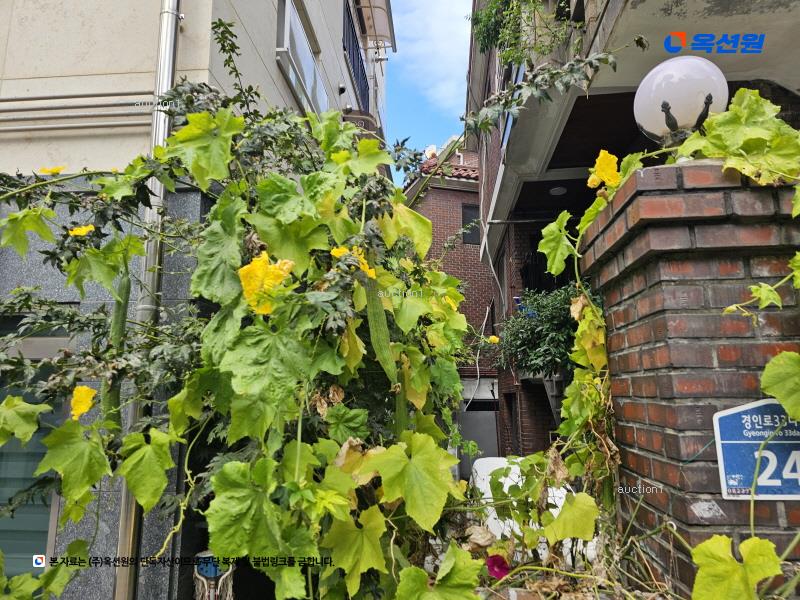 2025타경8858 서울특별시 구로구 경인로33다길 26, 지오펠리체 5층 504호 다세대(빌라) 경매 이미지