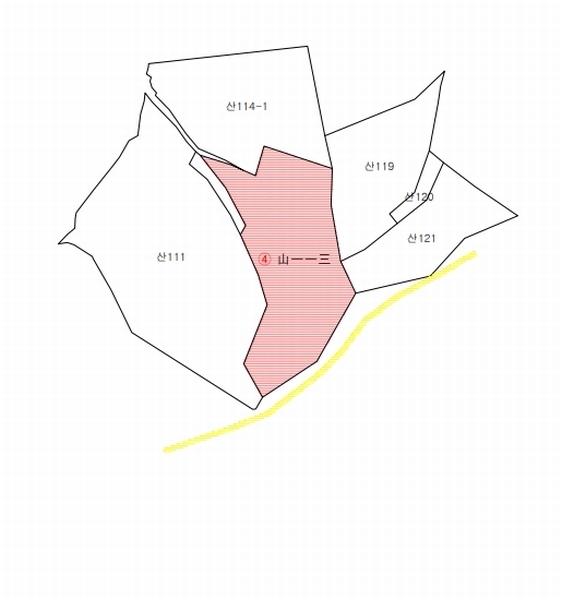 2025타경10056 경상북도 영양군 입암면 대천리 산113 임야 경매 이미지