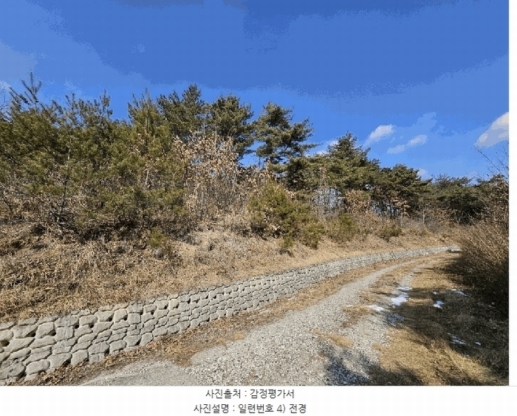 2025타경10056 경상북도 영양군 입암면 대천리 산113 임야 경매 이미지