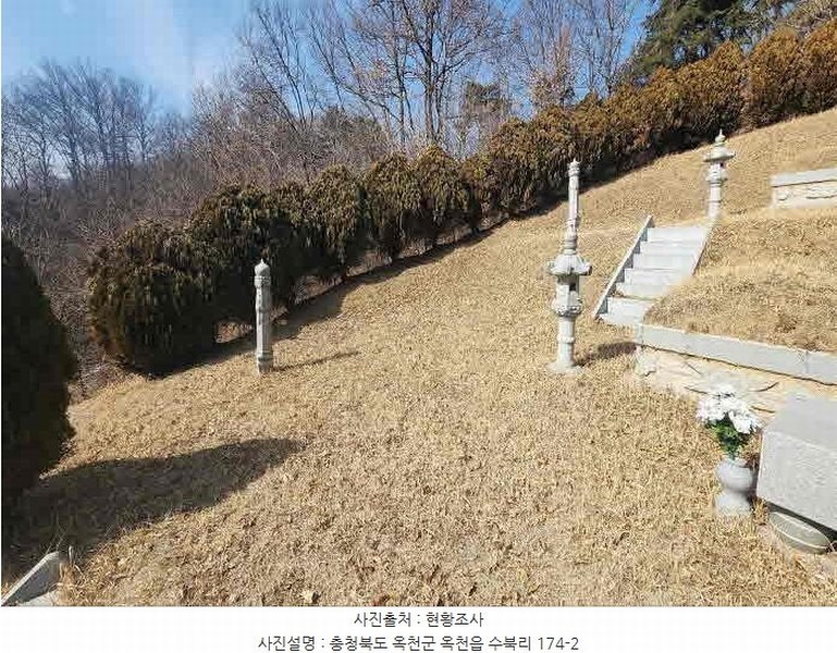 2025타경10104 충청북도 옥천군 옥천읍 수북리 174-2 임야 경매 이미지