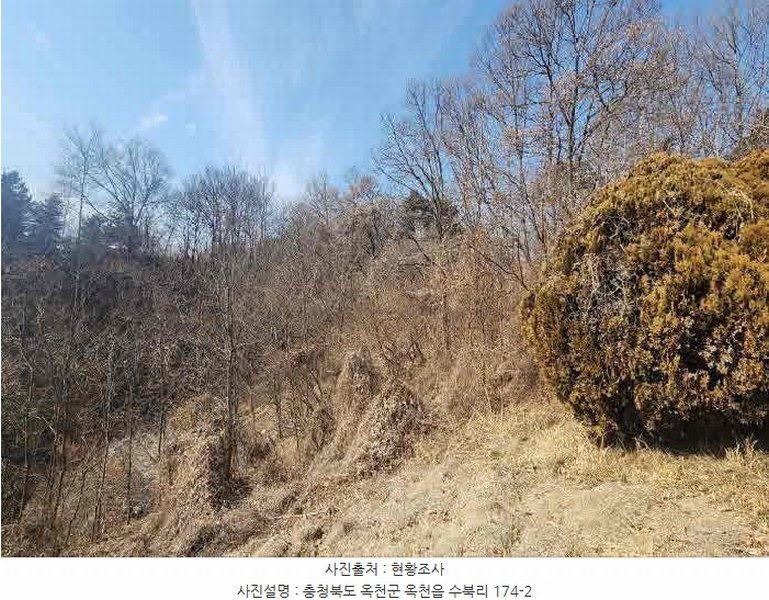 2025타경10104 충청북도 옥천군 옥천읍 수북리 174-2 임야 경매 이미지
