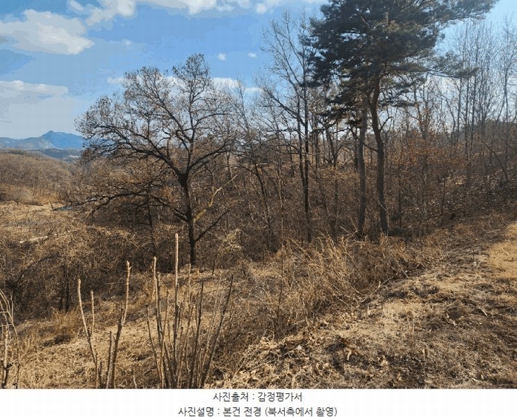 2025타경10104 충청북도 옥천군 옥천읍 수북리 174-2 임야 경매 이미지