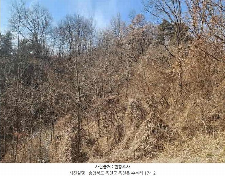 2025타경10104 충청북도 옥천군 옥천읍 수북리 174-2 임야 경매 이미지