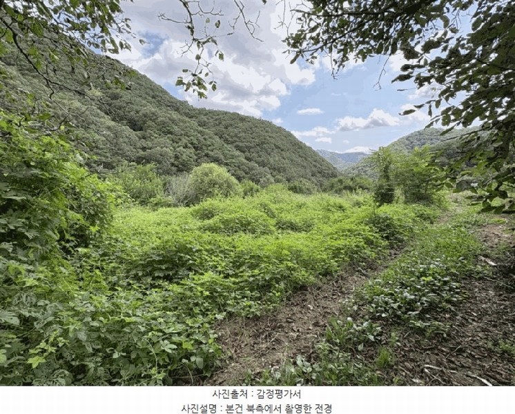 2025타경10196 충청북도 옥천군 청성면 묘금리 334 농지 경매 이미지