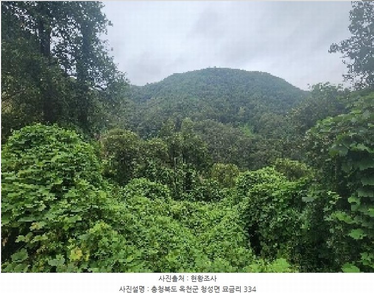 2025타경10196 충청북도 옥천군 청성면 묘금리 334 농지 경매 이미지