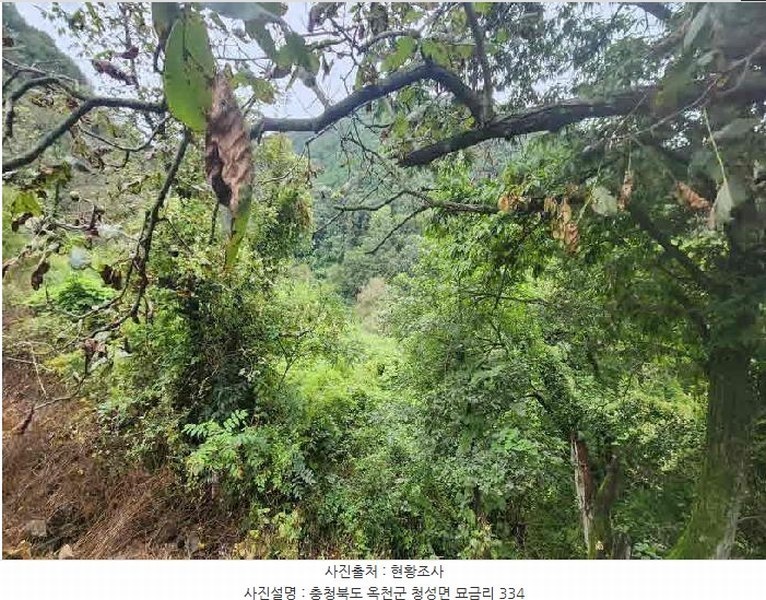 2025타경10196 충청북도 옥천군 청성면 묘금리 334 농지 경매 이미지