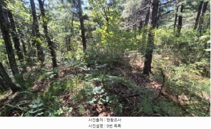 2025타경10354 강원특별자치도 고성군 토성면 운봉리 154-3 임야 경매 이미지