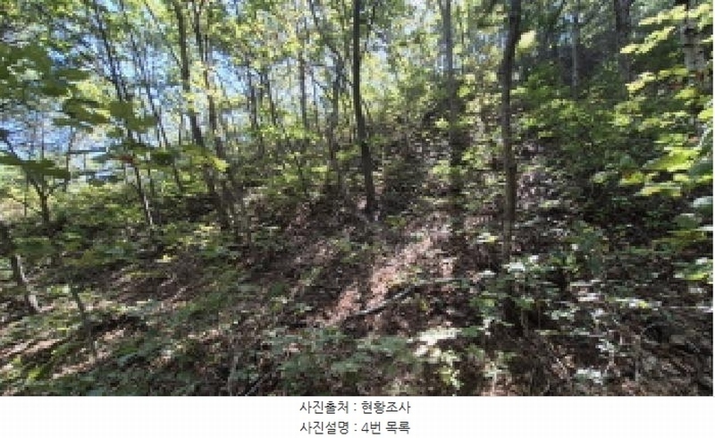 2025타경10354 강원특별자치도 고성군 토성면 운봉리 154-3 임야 경매 이미지