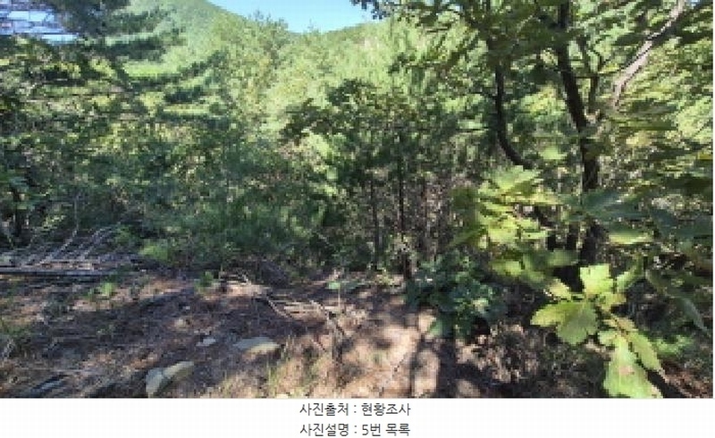 2025타경10354 강원특별자치도 고성군 토성면 운봉리 154-3 임야 경매 이미지
