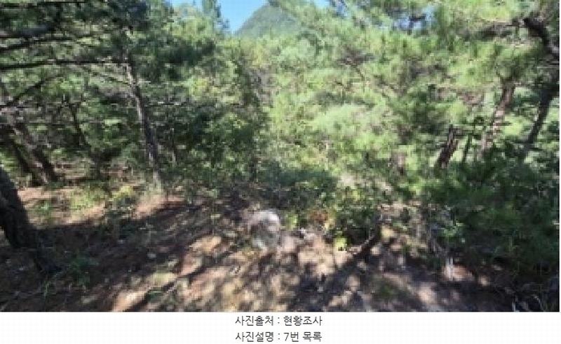 2025타경10354 강원특별자치도 고성군 토성면 운봉리 154-3 임야 경매 이미지
