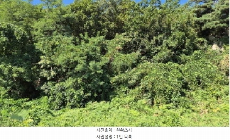 2025타경10354 강원특별자치도 고성군 토성면 운봉리 154-3 임야 경매 이미지