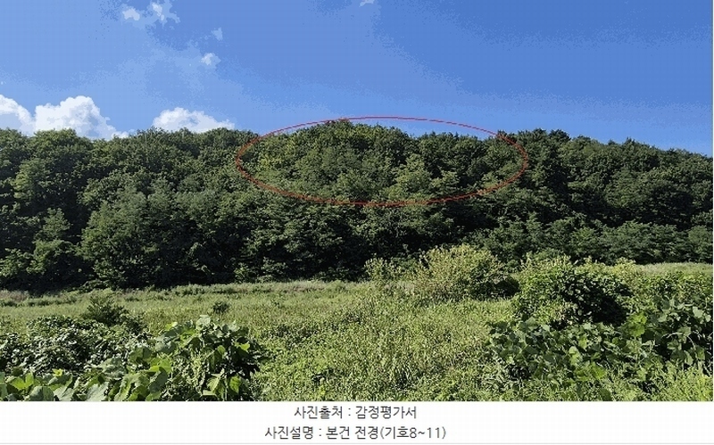 2025타경10354 강원특별자치도 고성군 토성면 운봉리 154-3 임야 경매 이미지