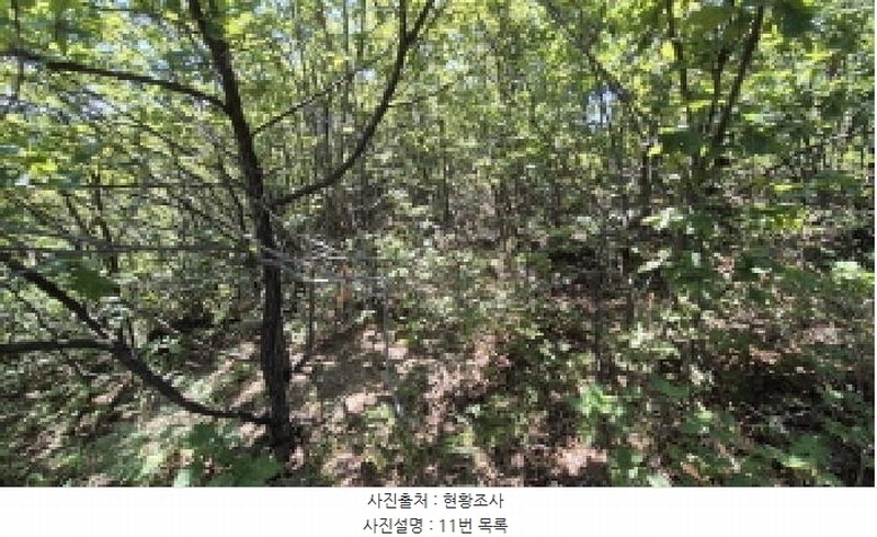 2025타경10354 강원특별자치도 고성군 토성면 운봉리 154-3 임야 경매 이미지