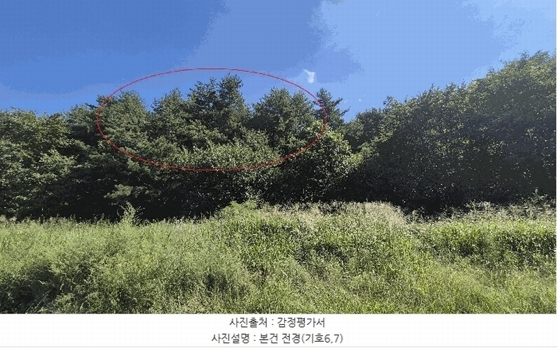 2025타경10354 강원특별자치도 고성군 토성면 운봉리 154-3 임야 경매 이미지