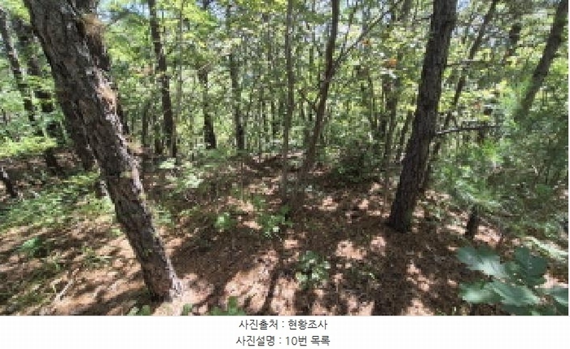 2025타경10354 강원특별자치도 고성군 토성면 운봉리 154-3 임야 경매 이미지
