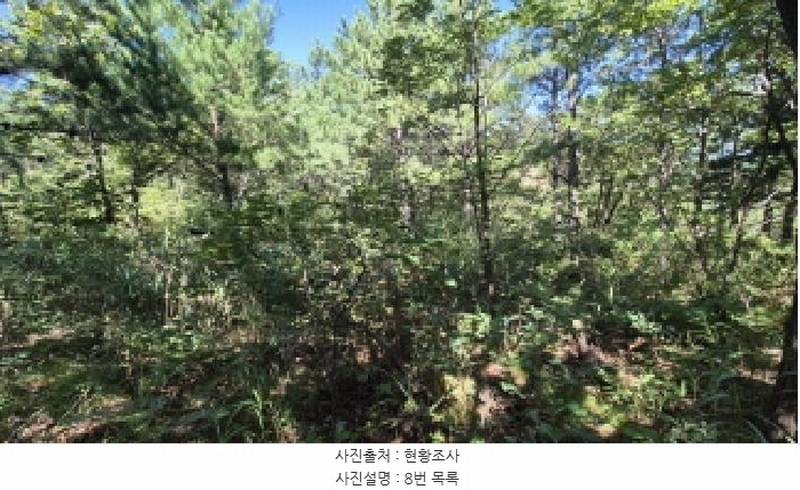 2025타경10354 강원특별자치도 고성군 토성면 운봉리 154-3 임야 경매 이미지