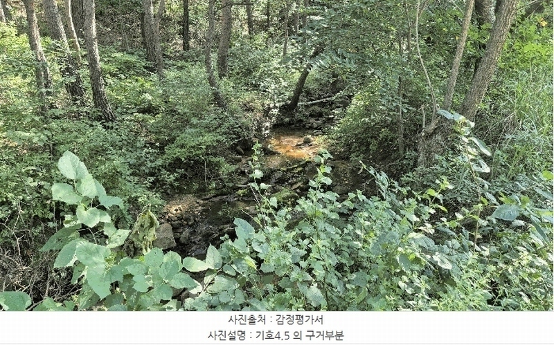 2025타경10354 강원특별자치도 고성군 토성면 운봉리 154-3 임야 경매 이미지