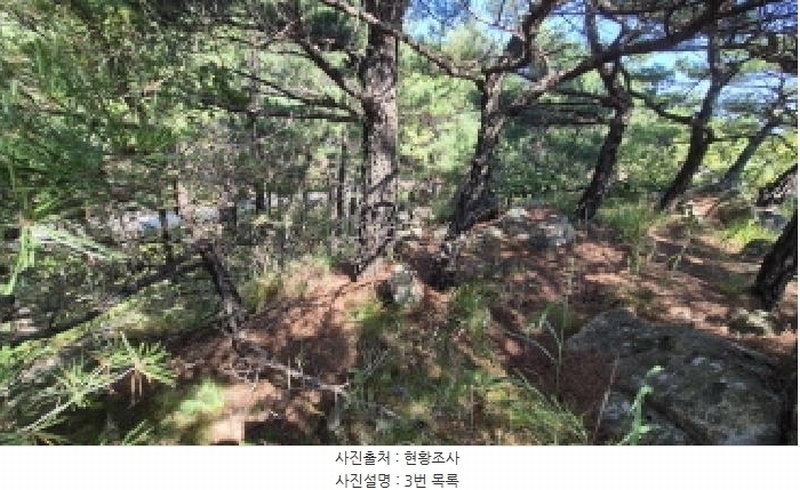 2025타경10354 강원특별자치도 고성군 토성면 운봉리 154-3 임야 경매 이미지