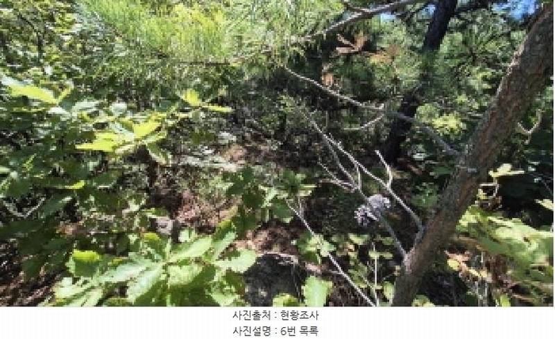 2025타경10354 강원특별자치도 고성군 토성면 운봉리 154-3 임야 경매 이미지