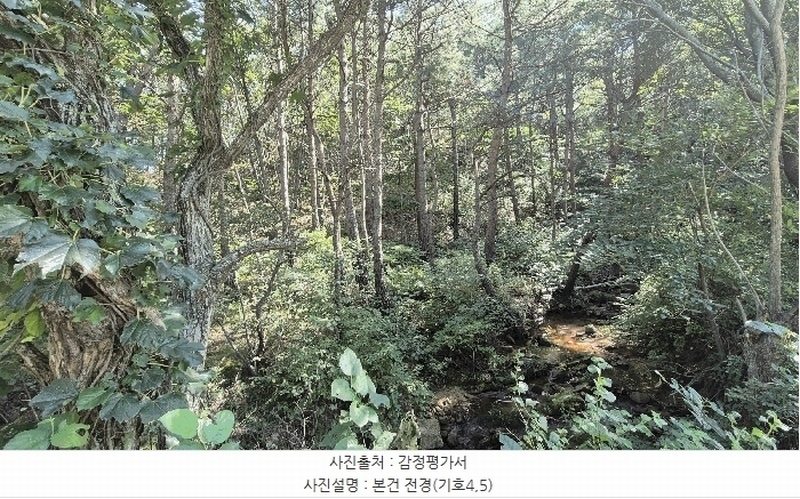 2025타경10354 강원특별자치도 고성군 토성면 운봉리 154-3 임야 경매 이미지