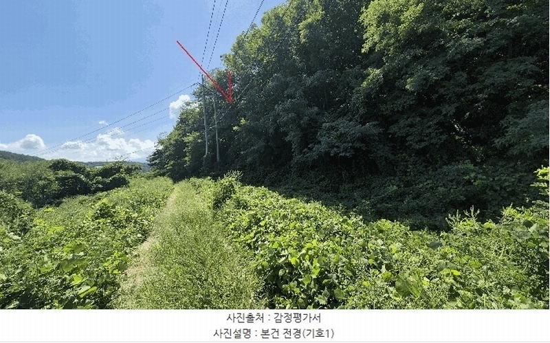 2025타경10354 강원특별자치도 고성군 토성면 운봉리 154-3 임야 경매 이미지