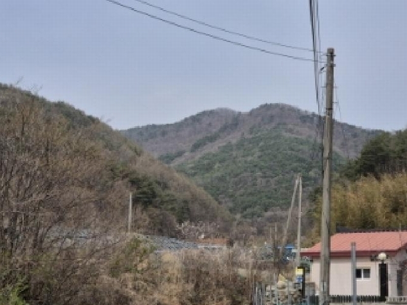2025타경10419 경상북도 경주시 산내면 감산리 산223 임야 경매 이미지