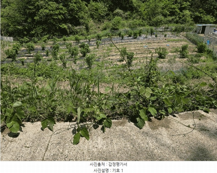 2025타경10462 경상북도 경주시 양남면 기구리 264-2 농지 경매 이미지