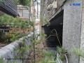 2025타경10843 서울특별시 양천구 월정로36길 5-6, 마루하우스 2층 201호 다세대(빌라)[공급10평형] 경매 이미지