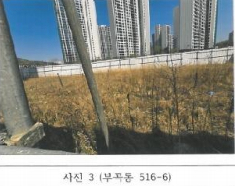 2025타경10914 경상북도 김천시 부곡동 516-6 농지 경매 이미지