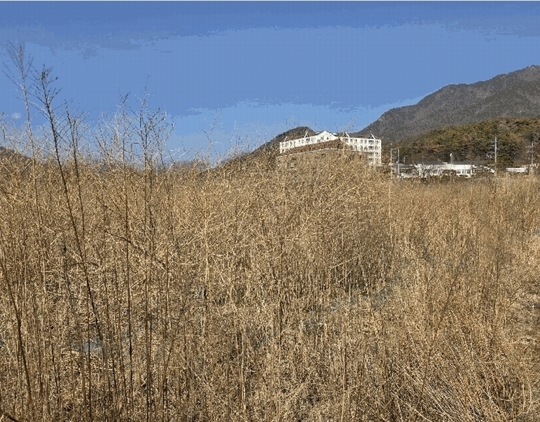 2025타경11054 경상남도 김해시 생림면 봉림리 588 농지 경매 이미지