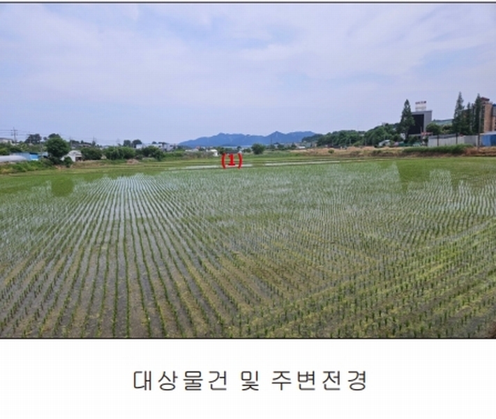 2025타경11732 충청남도 아산시 신창면 읍내리 154-4 농지 경매 이미지