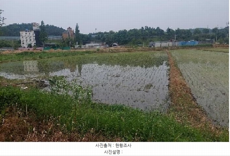 2025타경11732 충청남도 아산시 신창면 읍내리 154-4 농지 경매 이미지