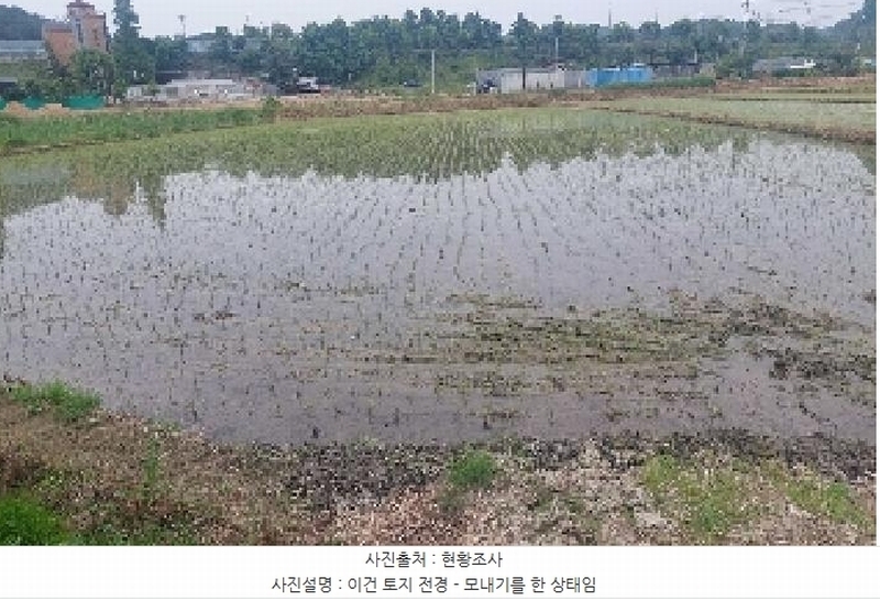 2025타경11732 충청남도 아산시 신창면 읍내리 154-4 농지 경매 이미지