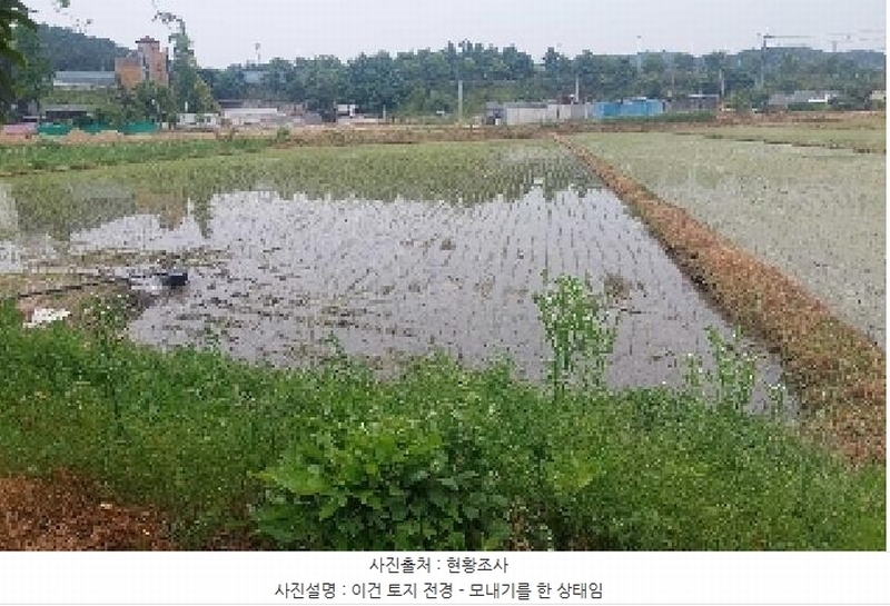 2025타경11732 충청남도 아산시 신창면 읍내리 154-4 농지 경매 이미지