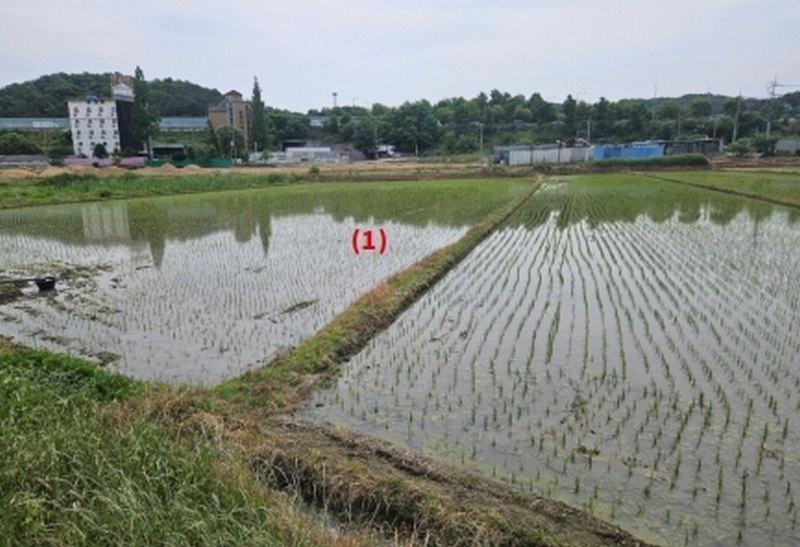 2025타경11732 충청남도 아산시 신창면 읍내리 154-4 농지 경매 이미지