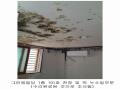 2024타경2903 서울특별시 금천구 가산동 147-55 다가구(원룸등) 경매 이미지