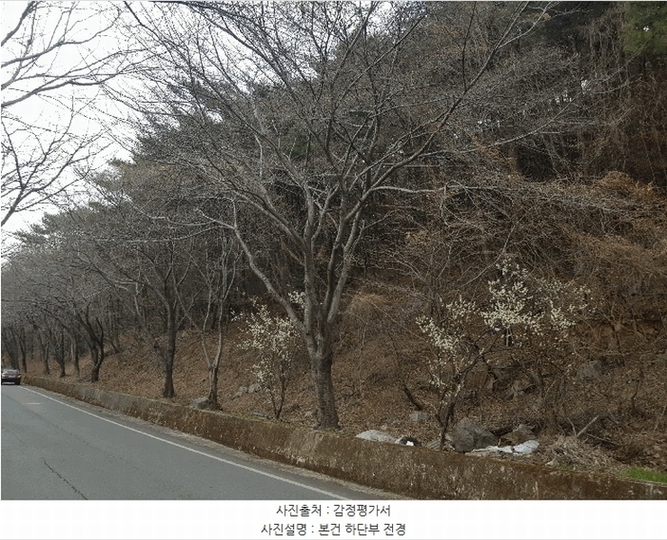 2025타경567 경상남도 남해군 서면 정포리 산18-1 임야 경매 이미지