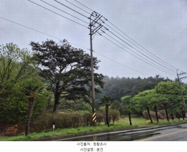 2025타경401 경상남도 고성군 동해면 장기리 산191 임야 경매 이미지
