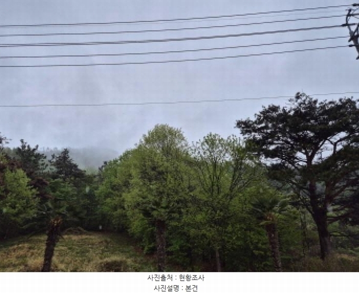 2025타경401 경상남도 고성군 동해면 장기리 산191 임야 경매 이미지