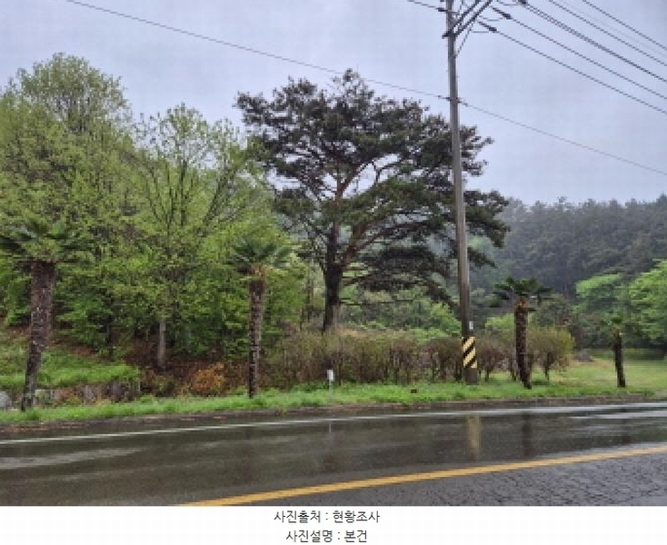 2025타경401 경상남도 고성군 동해면 장기리 산191 임야 경매 이미지