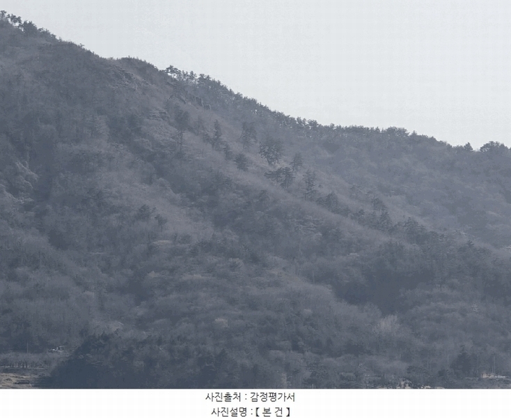 2025타경401 경상남도 고성군 동해면 장기리 산191 임야 경매 이미지
