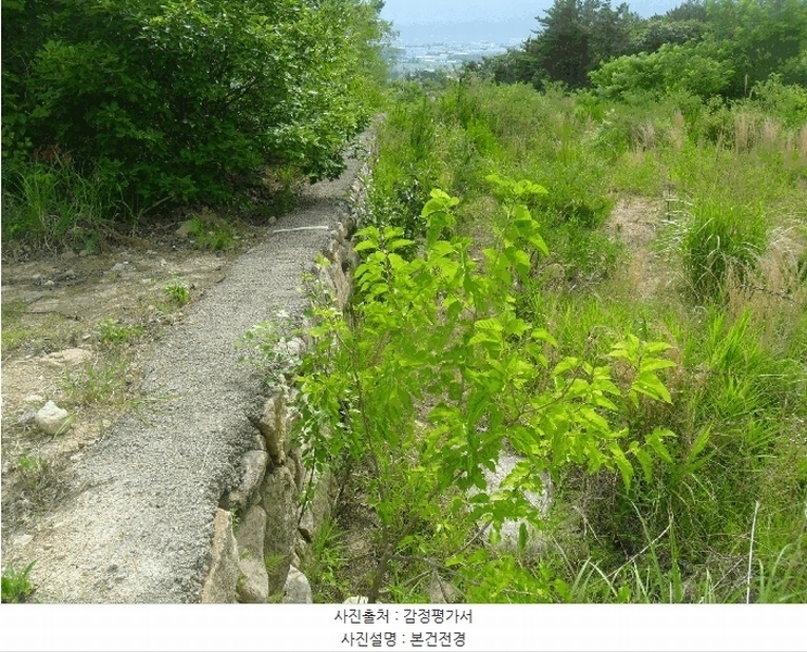 2025타경327 경상북도 경주시 외동읍 모화리 산99-5 임야 경매 이미지